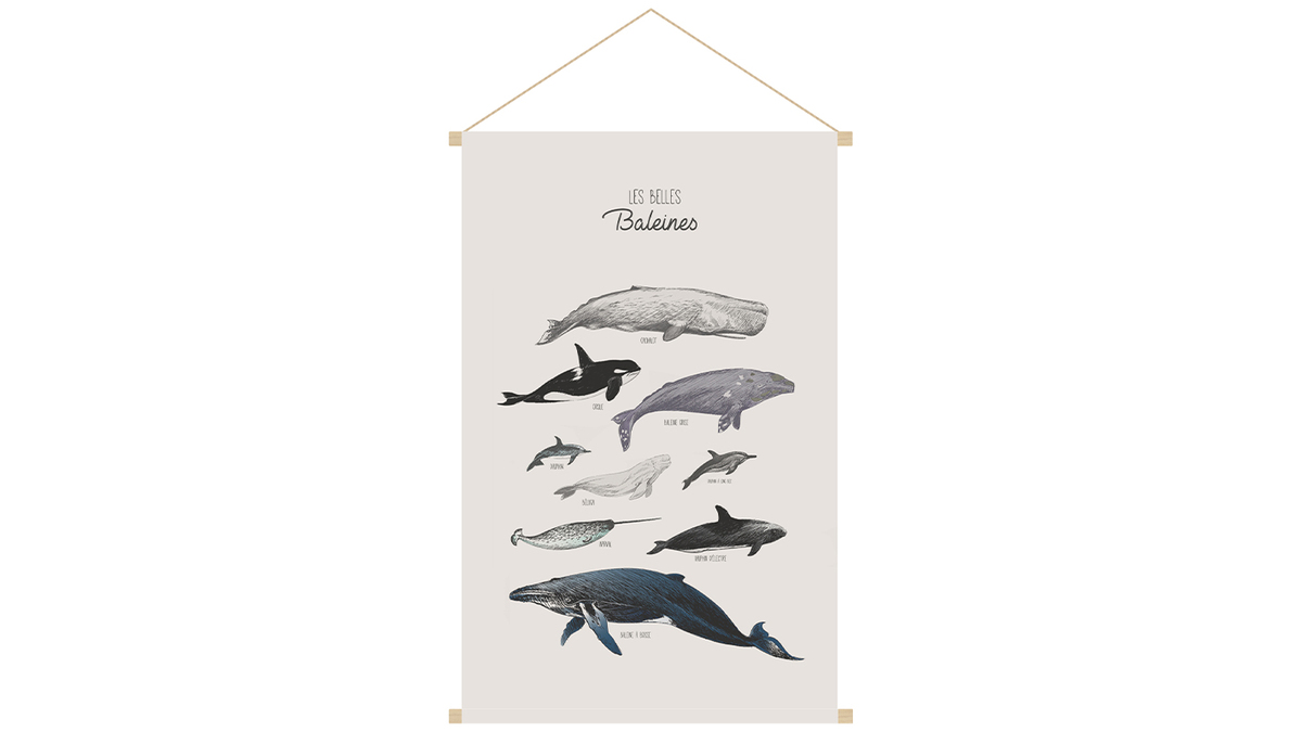 Kakemono bambini illustrazione balene L40 x L60 cm OCEAN